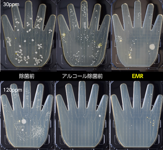 手の除菌試験比較