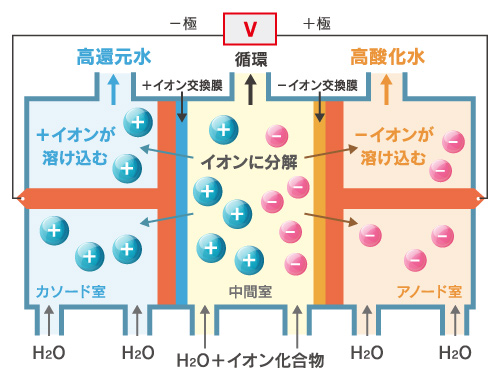 3室ダブルイン型電解高還元水抽出